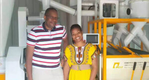 Read more about the article The Mill Project